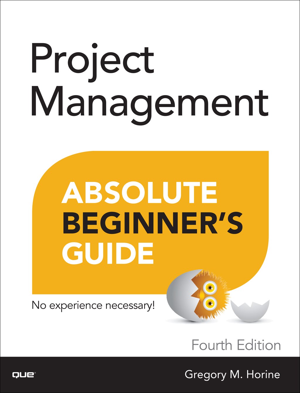 Project Management Absolute Beginners Guide 4th Edition Informit