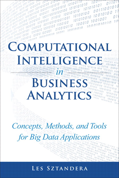 Computational Intelligence in Business Analytics: Concepts, Methods, and Tools for Big Data Applications