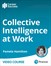 Collective Intelligence at Work (Video Course)