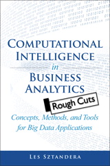 Computational Intelligence in Business Analytics: Concepts, Methods, and Tools for Big Data Applications, Rough Cuts