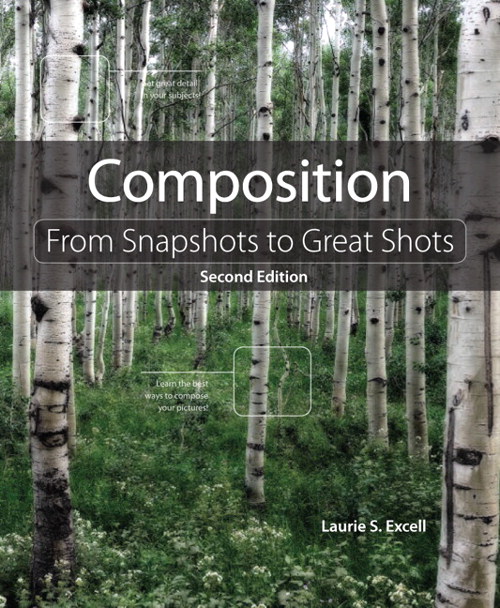 Composition: From Snapshots to Great Shots