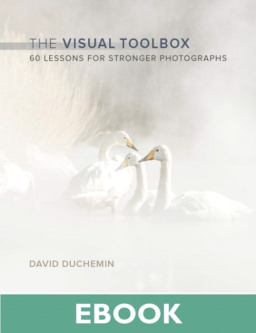 Visual Toolbox, The: 60 Lessons for Stronger Photographs