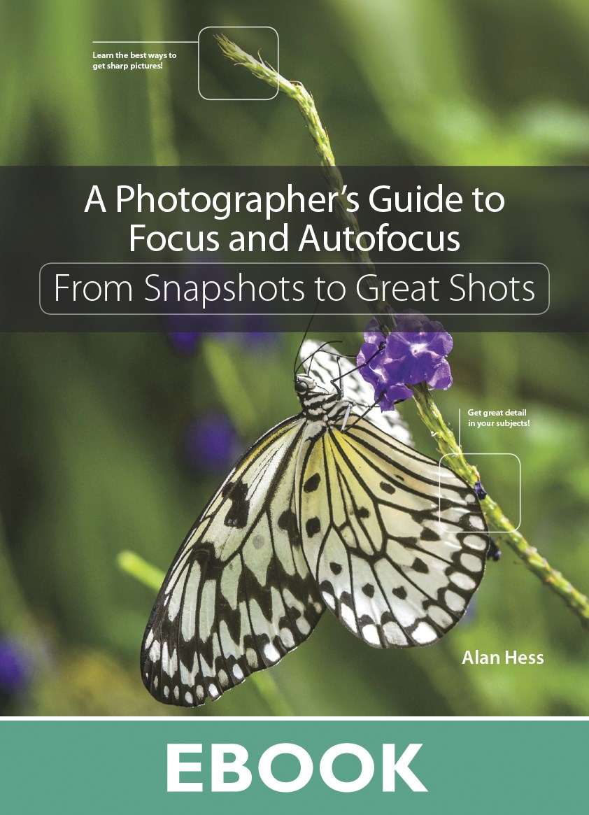 Photographer's Guide to Focus and Autofocus, A: From Snapshots to Great Shots